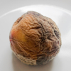 <p> </p><p>Colour 2005-2006: 21. Mouldy Peach (August 2006 in Toronto)</p> 21