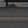 <p> </p><p>Colour 2005-2006: 14. Homeless (March 2006 in Toronto)</p> 14