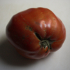 <p> </p><p>Colour 2006-2007: 22. Tomato (September 2006 in Toronto)</p> 22