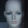 <p> </p><p>Colour 2019-2020: 20. Mannequin Head (March 2020 in Toronto)</p> 20