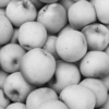 <p> </p><p>Black and White 1: 6. Fall Apples (October 2007 in Toronto)</p> 6