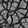<p> </p><p>Black and White 1: 20. Red River Mud (August 2007 in Winnipeg, Manitoba)</p> 20