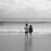 <p> </p><p>Black and White 3: 5. The Big Wave (November 2010 in Delray Beach, Florida)</p> 5