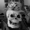 <p> </p><p>Black and White 4: 10. Junk Shop Skull (November 2008 in Guelph, Ontario)</p> 10