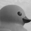 <p> </p><p>Black and White 4: 5. Giant Duck (June 2017 in Toronto)</p> 5