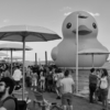 <p> </p><p>Black and White 5: 19. Giant Duck at Harbourfront (July 2017 in Toronto)</p> 19