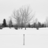 <p> </p><p>Black and White 5: 2. Balance (February 2020 in Castor, Alberta)</p> 2