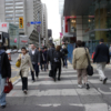 <p> </p><p>Colour 2007-2008: 19. Crosswalk at Yonge and Bloor (May 2008 in Toronto)</p> 19