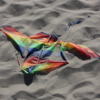 <p> </p><p>Colour 2009-2010: 16. Trampled Kite (May 2010 in Toronto)</p> 16