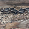 <p> </p><p>Colour 2011-2012: 3. Stream Bed (August 2011 near Drumheller, Alberta)</p> 3