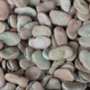 <p> </p><p>Colour 2012-2013: 4. Dried Beans (June 2013 in Toronto)</p> 4