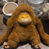 <p> </p><p>Colour 2013-2014: 6. Rummage Sale Monkey (July 2014 near Marmora, Ontario)</p> 6