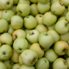 <p> </p><p>Colour 2014-2015: 14. Pile of Apples (November 2013 in Toronto)</p> 14