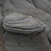 <p> </p><p>Colour 2014-2015: 6. Small Hoodoo (August 2015 in Big Knife Provincial Park, Alberta)</p> 6
