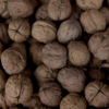 <p> </p><p>Colour 2014-2015: 5. Walnuts (November 2015 in Toronto)</p> 5
