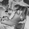 <p> </p><p>Black and White 1: 19. Torn (February 2006 in Toronto)</p> 19