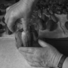 <p> </p><p>Black and White 3: 8. Pickling Time (August 2007 in Winnipeg, Manitoba)</p> 8