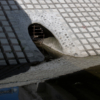 <p> </p><p>Colour 2020-2021: 12. Storm Sewer (May 2021 in Mississauga, Ontario)</p> 12