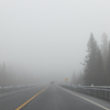 <p> </p><p>Colour 2024-2025: 12. Trans-Canada Highway (November 2024 east of Thunder Bay, Ontario)</p> 12