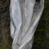 <p> </p><p>Work in Progress (2026): 5. Plastic Sheet (May 2025 in Winnipeg, Manitoba)</p> 5
