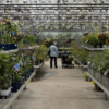 <p> </p><p>Work in Progress (2026): 8. Greenhouse (May 2026 in Markham, Ontario)</p> 8